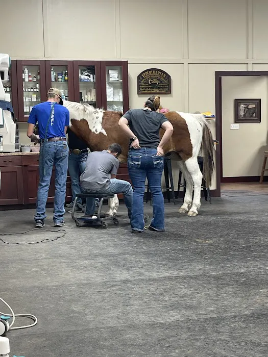 Athens Equine - Todd K. Laughrey DVM, PC Picture 4
