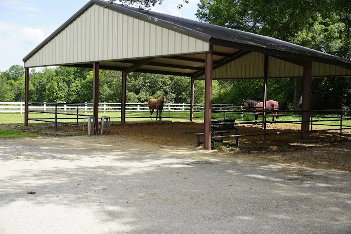 Athens Equine - Todd K. Laughrey DVM, PC Picture 8