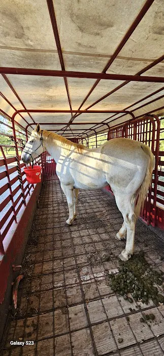 Athens Equine - Dr. Todd Picture 1