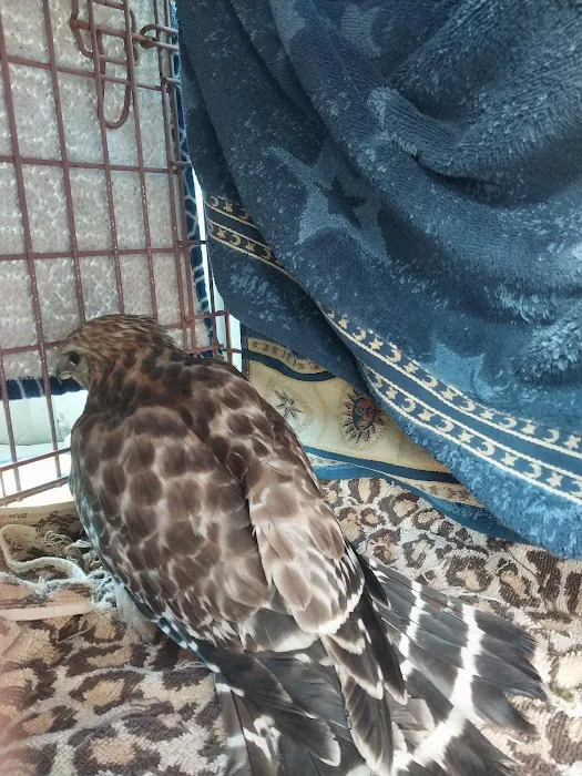 Hawkins Pet & Exotic Animal Clinic Picture 4