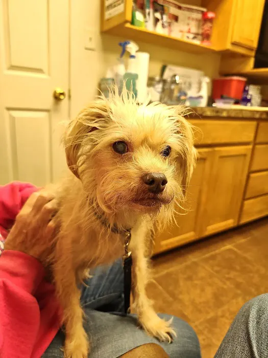 Hawkins Pet & Exotic Animal Clinic Picture 5