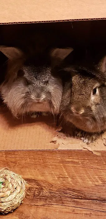 Hawkins Pet & Exotic Animal Clinic Picture 7