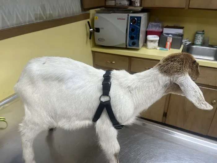 North Tyler Veterinary Clinic Picture 2