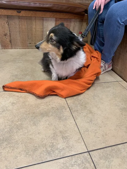 North Tyler Veterinary Clinic Picture 8