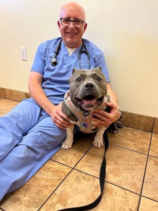 Bay Animal Hospital Picture 5