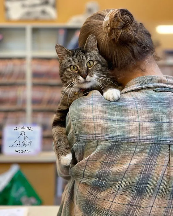 Bay Animal Hospital Picture 6