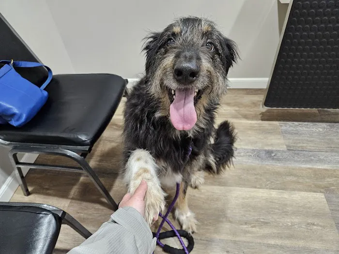 East River Veterinary Clinic Picture 4
