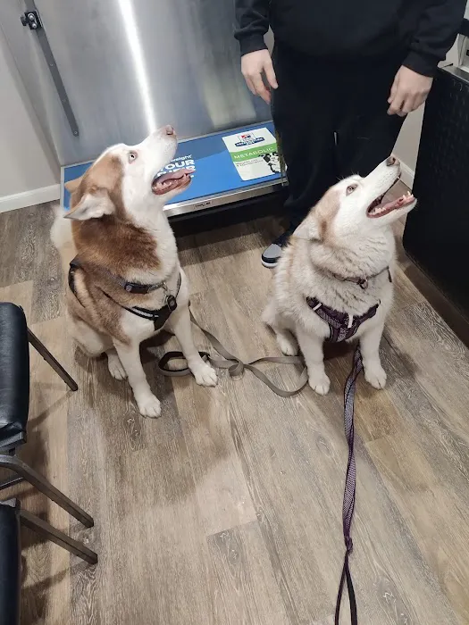 East River Veterinary Clinic Picture 5