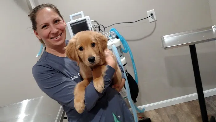 East River Veterinary Clinic Picture 9