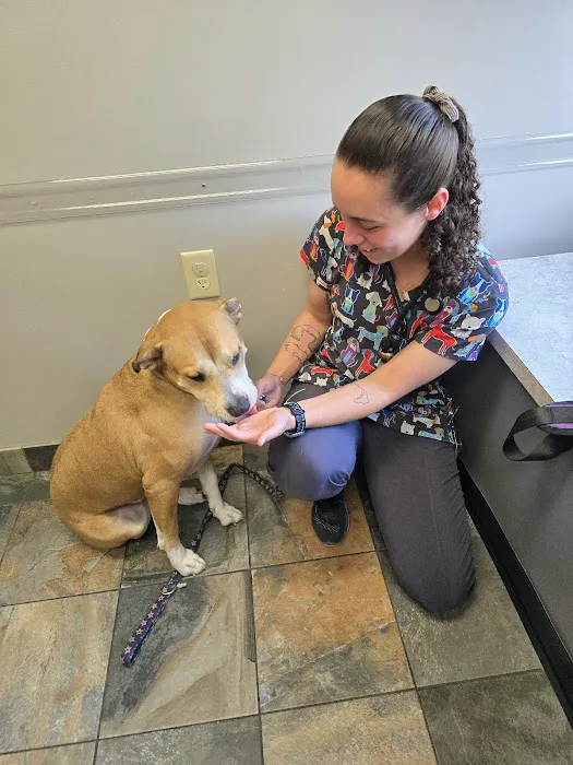 VetMED Veterinary Hospital Picture 4
