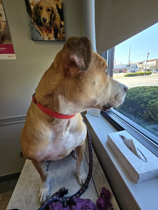 VetMED Veterinary Hospital Picture 7
