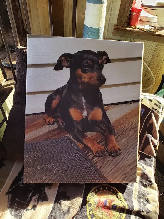 VetMED Veterinary Hospital Picture 8