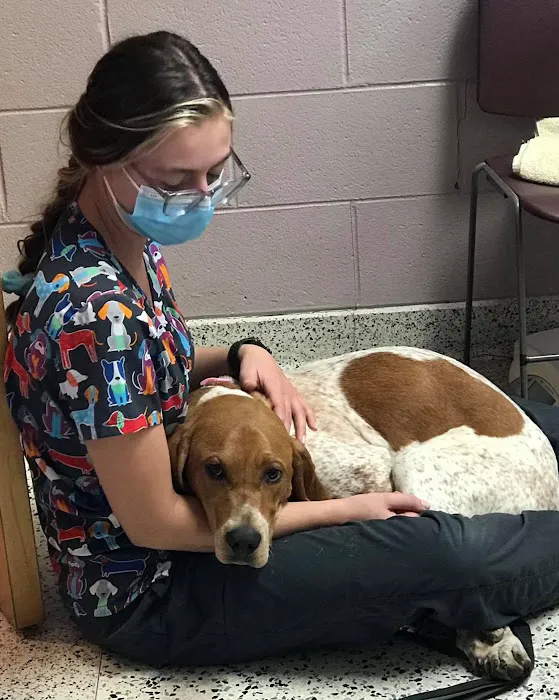 Euclid Veterinary Hospital Picture 3