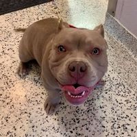 Euclid Veterinary Hospital ico