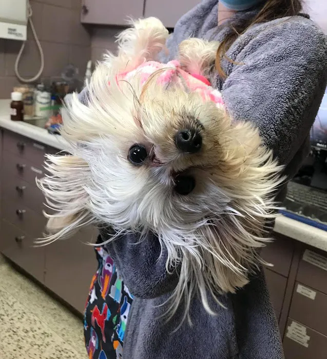 Euclid Veterinary Hospital Picture 2