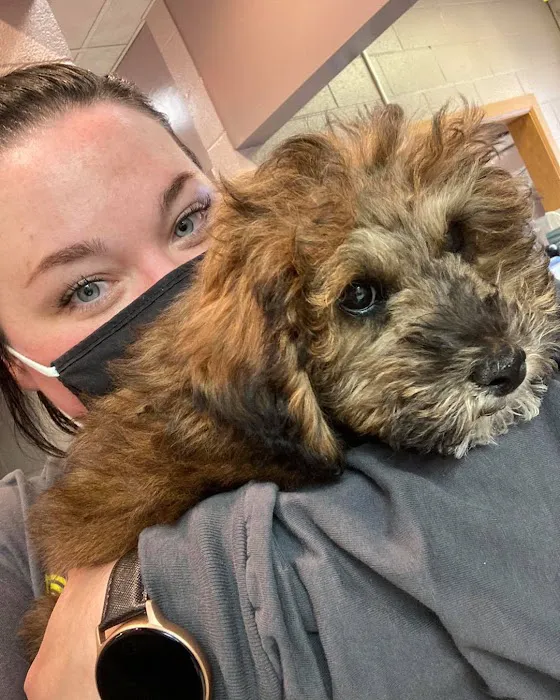 Euclid Veterinary Hospital Picture 7