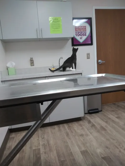 Montrose Veterinary Hospital Picture 9