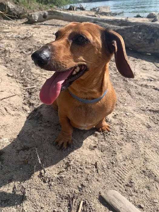 Great Lakes Pet Emergencies Picture 1