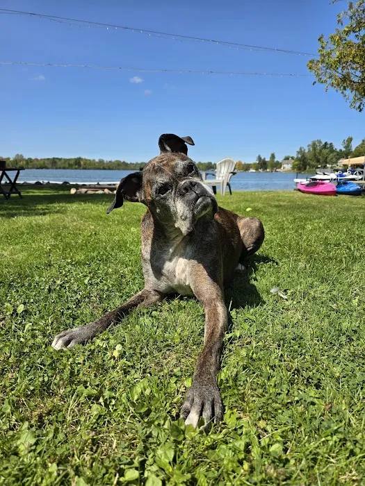 Great Lakes Pet Emergencies Picture 4