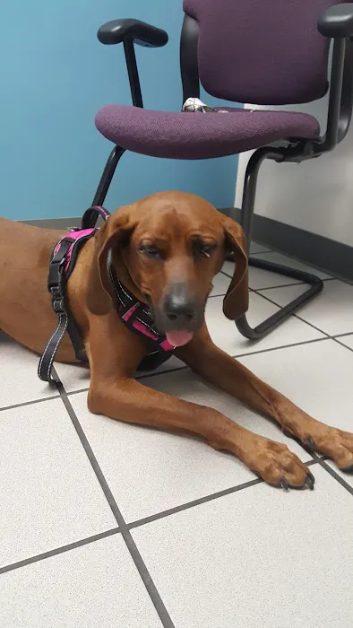 MidMichigan Veterinary Hospital Picture 3