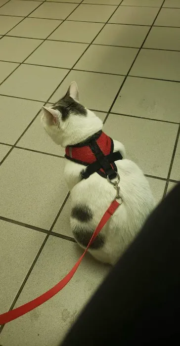 MidMichigan Veterinary Hospital Picture 5