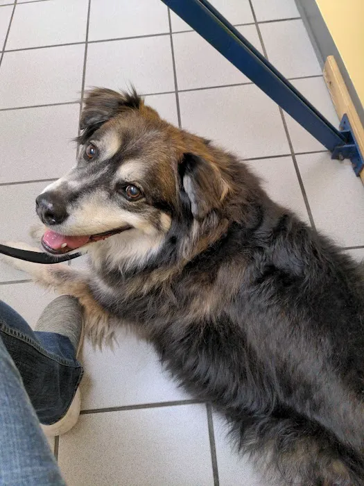 MidMichigan Veterinary Hospital Picture 9