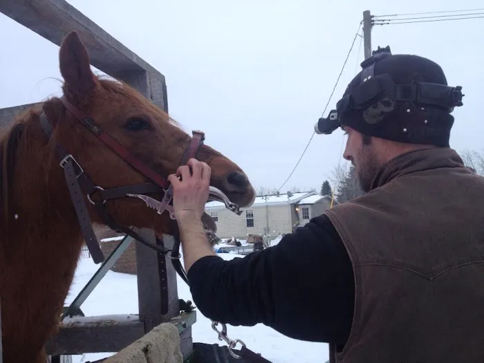 Natural Equine Concepts Picture 1