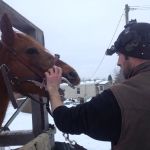 Natural Equine Concepts
