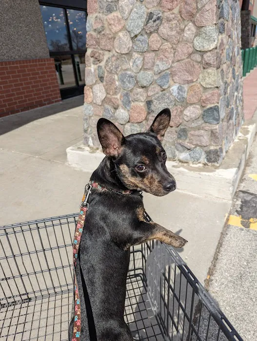 Flushing Animal Hospital & Pet Hotel Picture 2