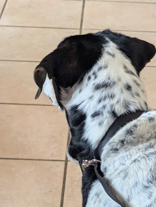 Riverside Animal Hospital Picture 5