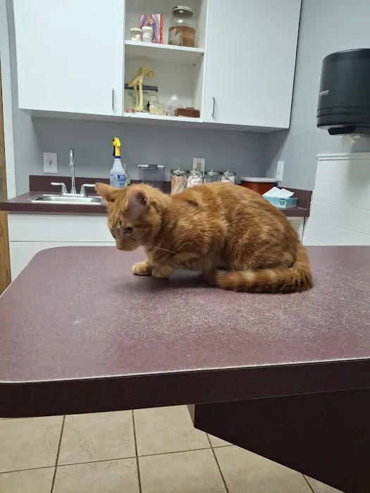 Riverside Animal Hospital Picture 4
