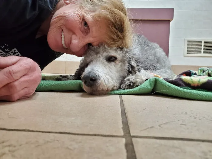 Riverside Animal Hospital Picture 6