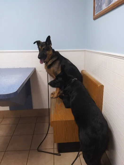 Riverside Animal Hospital: Koan Michele DVM Picture 1