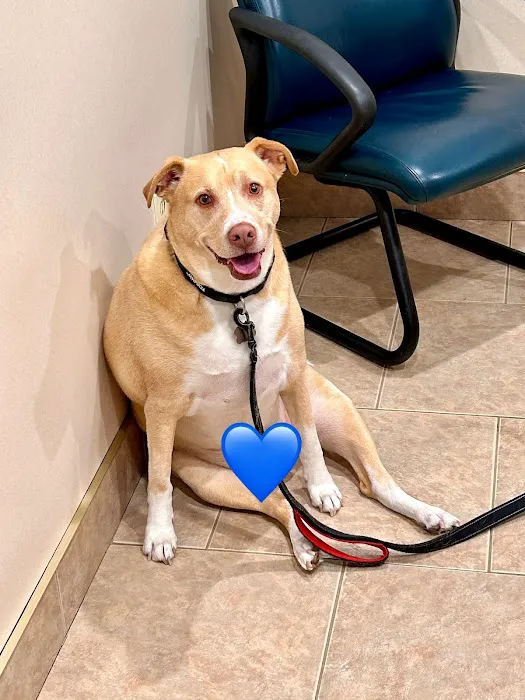 West Flint Animal Hospital Picture 9