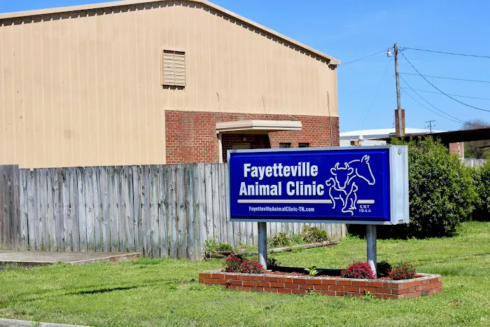 Fayetteville Animal Clinic Picture 1