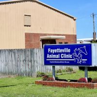 Fayetteville Animal Clinic ico