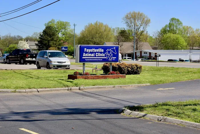 Fayetteville Animal Clinic Picture 6