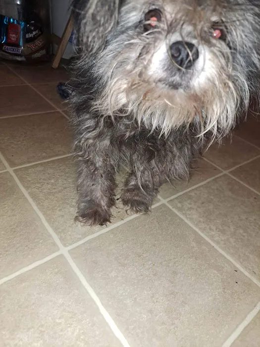 Meredith-Warner Animal Clinic Picture 3