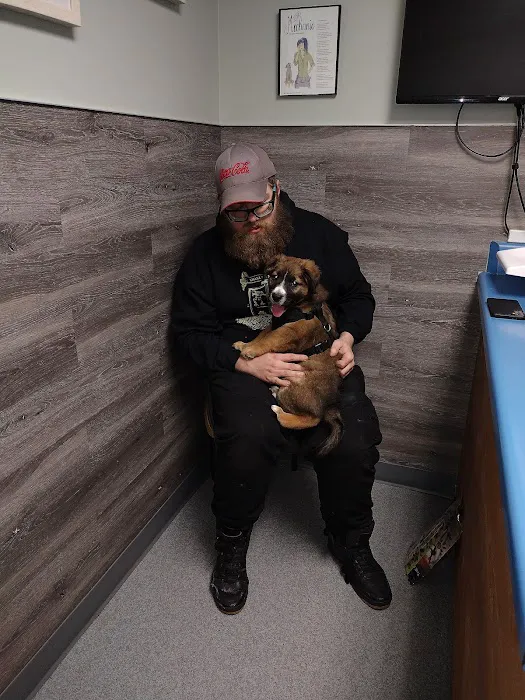 Companion Animal Hospital of Lewisburg TN Picture 4