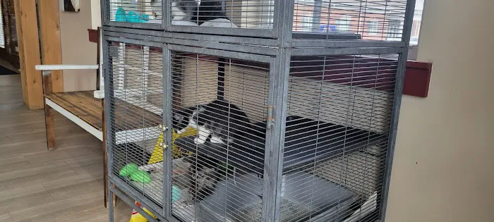 Veterinary Services Picture 3