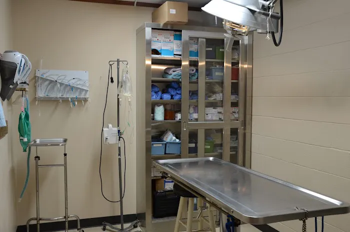 Veterinary Services Picture 5