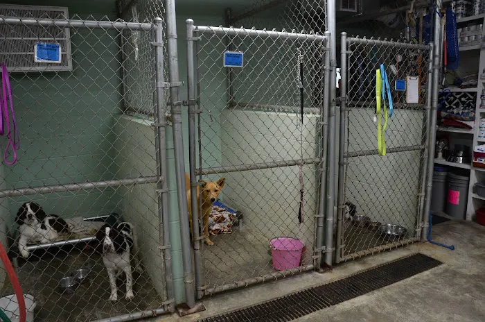 Veterinary Services Picture 7