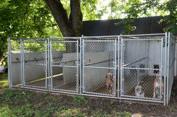 Veterinary Services Picture 6