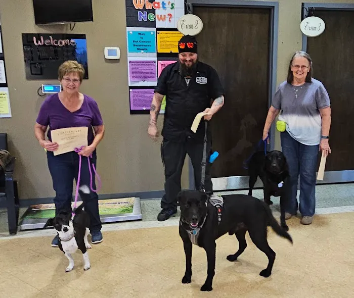 All About Animals Veterinary Clinic Picture 5
