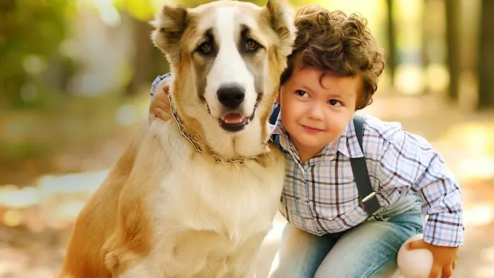 All About Animals Veterinary Clinic Picture 2