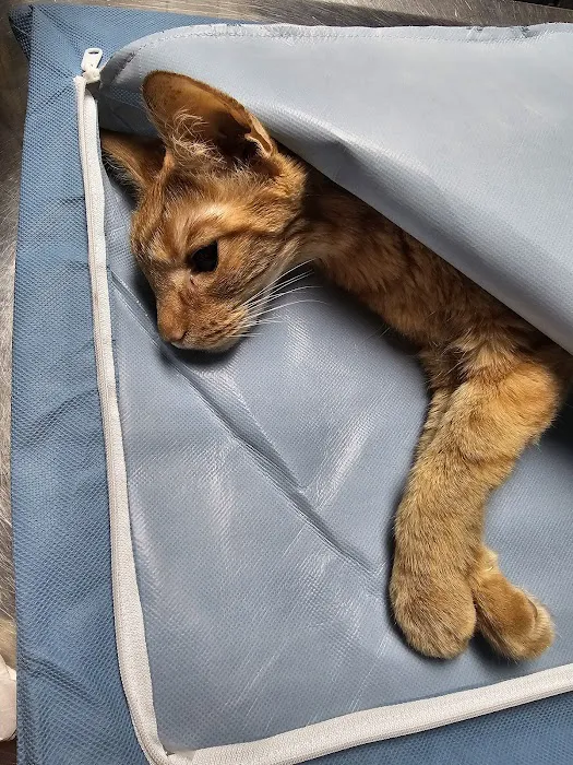 Hackett Animal Clinic Picture 2