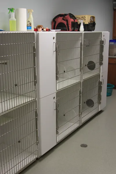 Animal Health Clinic Picture 5