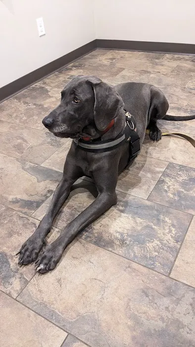 All Creatures Veterinary Clinic Picture 4
