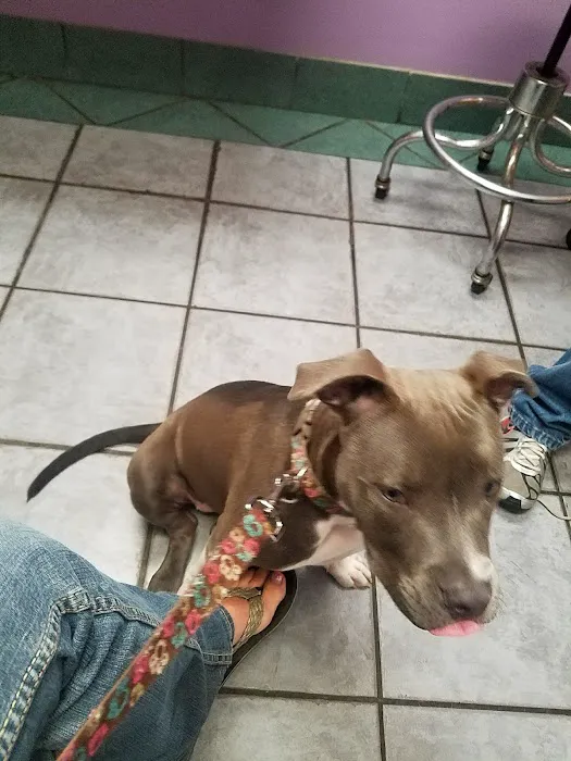 Eastside Animal Hospital Picture 3
