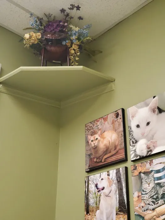 Eastside Animal Hospital Picture 2